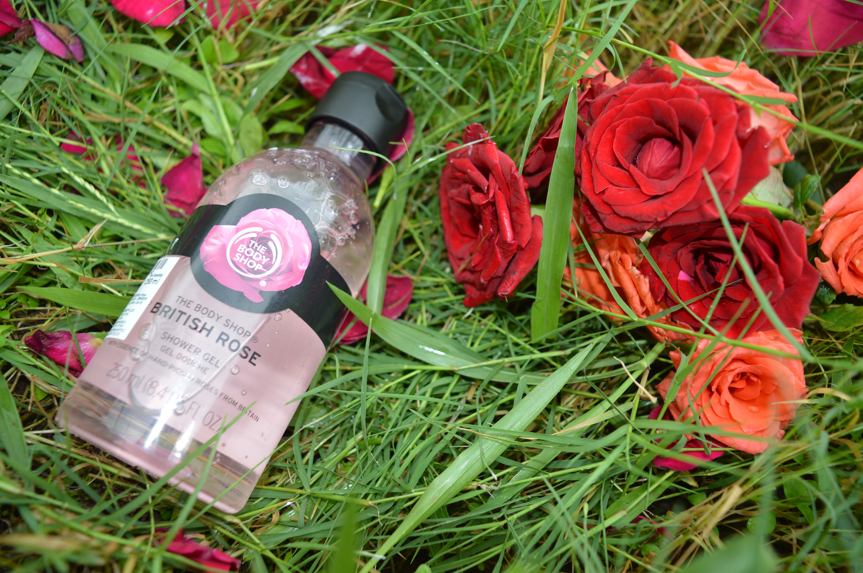 british rose shower gel