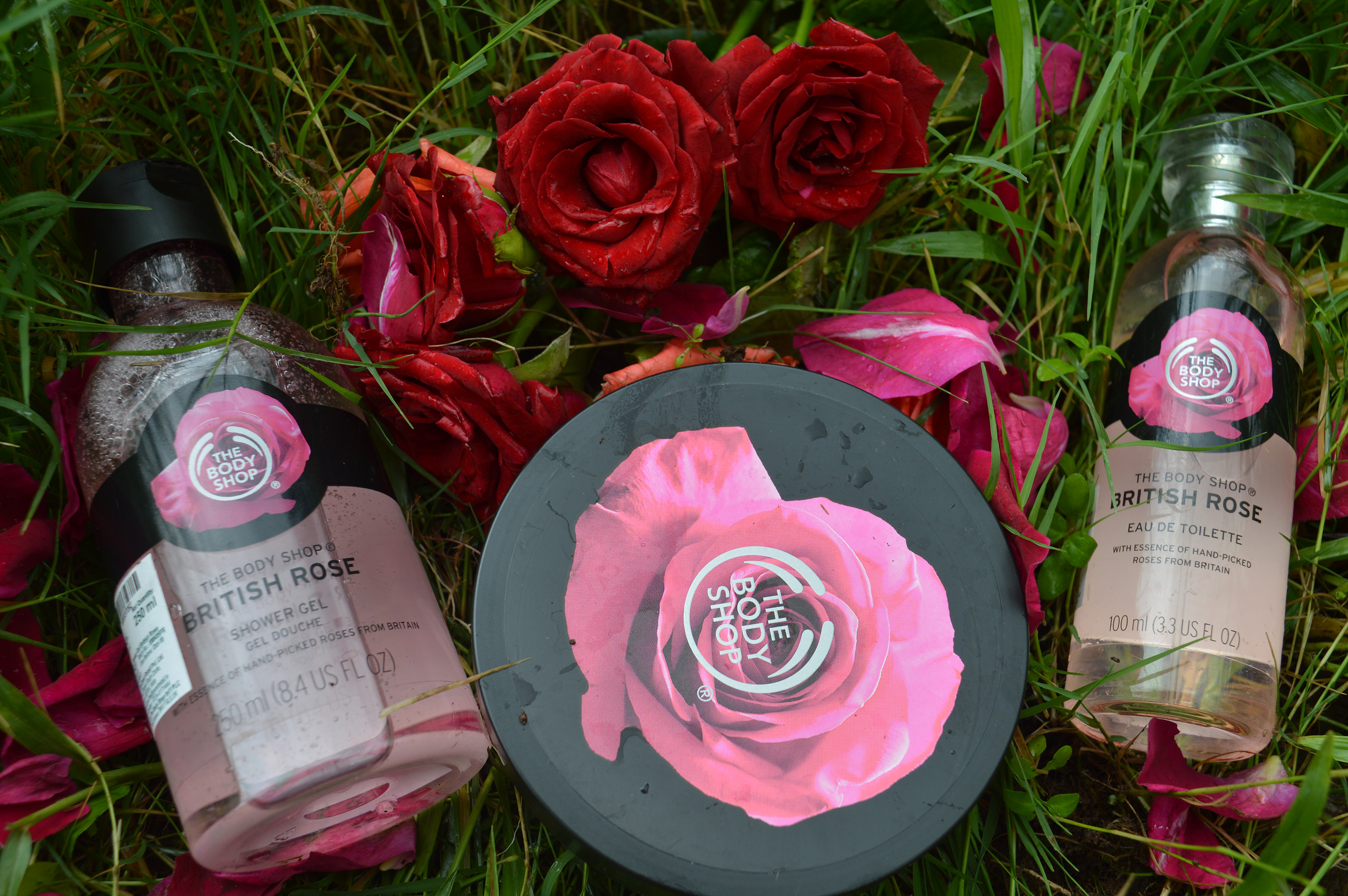 the body shop british rose collection