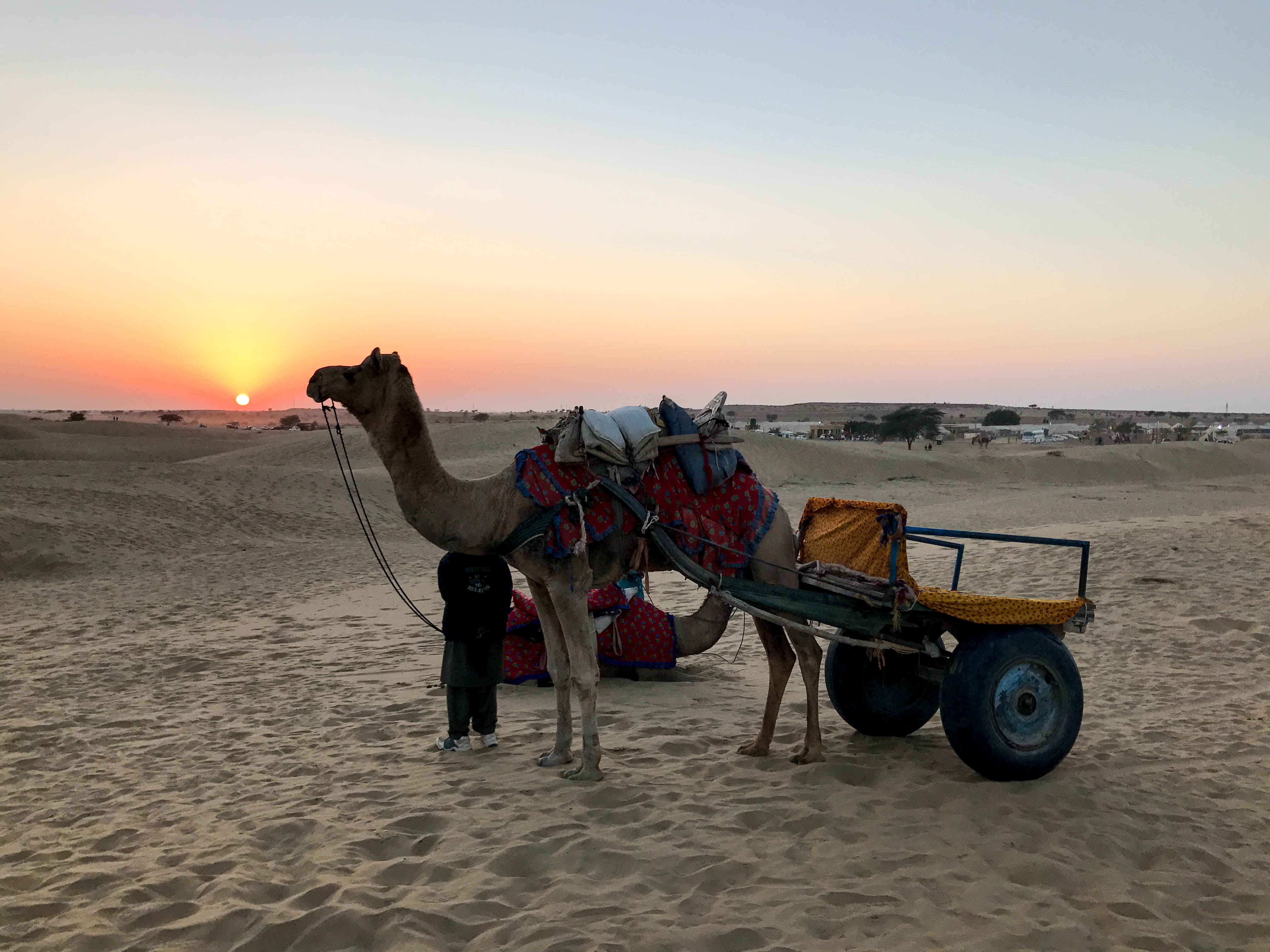 Camel Ride at SAM Sand dunes