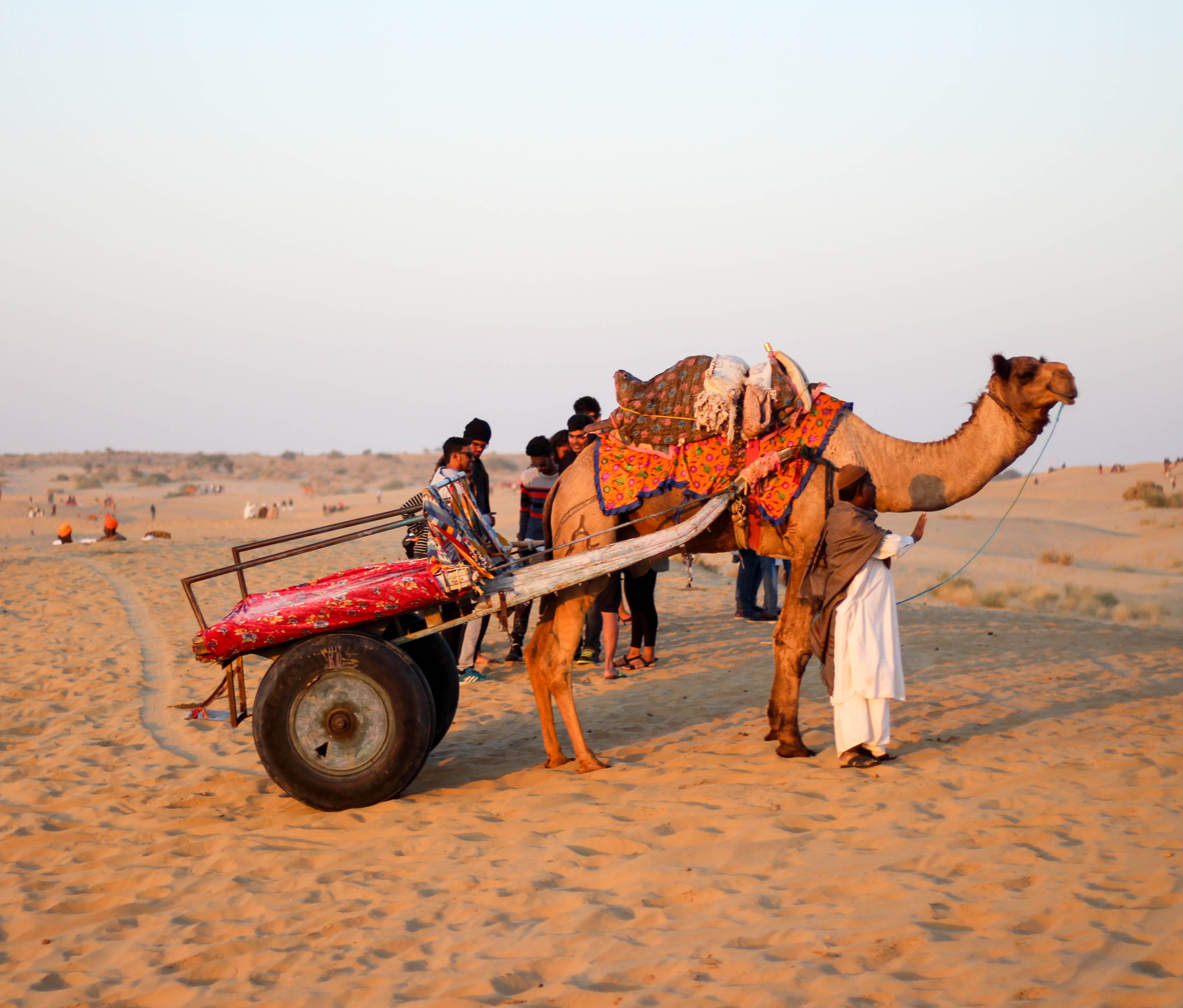 Camel ride at SAM Sand Dunes